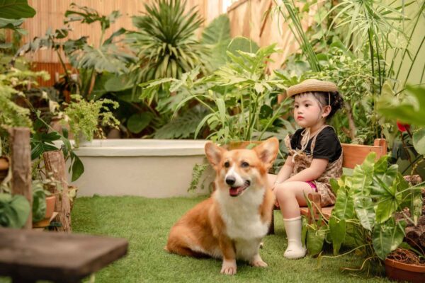 Hướng dẫn tạo dáng chụp ảnh cho bé đơn giản nhất năm 2023